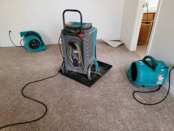 Best Flood restoration services  in Ack, NY