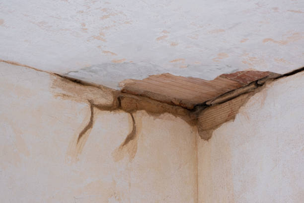 Best Mold removal after water damage  in Ack, NY