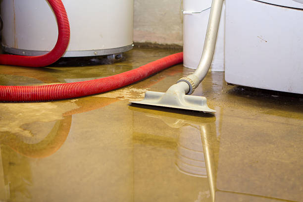 Best Ceiling water damage repair  in Ack, NY