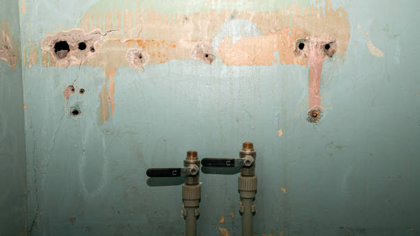 Best 24-hour water damage restoration  in Ack, NY