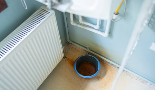 Best Flood damage cleanup  in Ack, NY