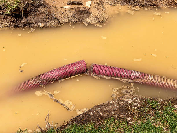 Best Residential water damage restoration  in Ack, NY